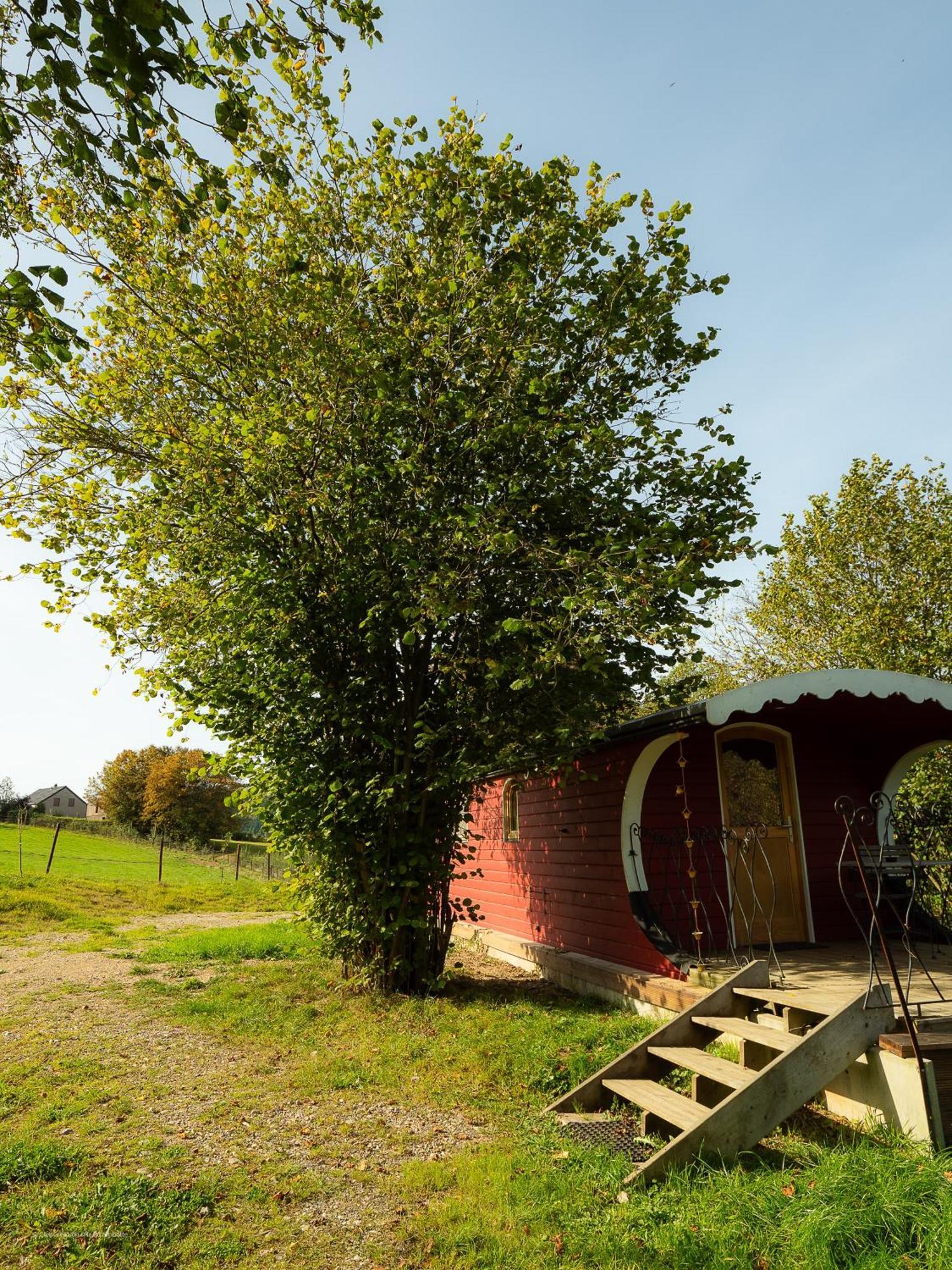 La Tiny House De La Bergerie Villa Lierneux Eksteriør bilde
